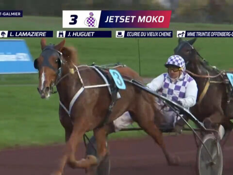 Jetset Moko